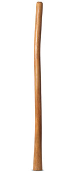 Gloss Finish Flared Didgeridoo (TW983)